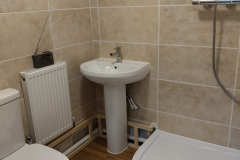 1_Basement-bathroom-9-scaled