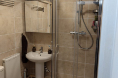 Basement-bathroom-11-scaled
