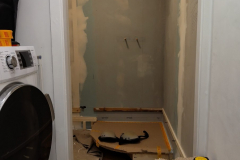 Basement-bathroom-4