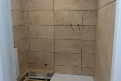 Basement-bathroom-6