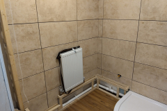 Basement-bathroom-7