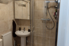 thumbs_Basement-bathroom-11-scaled